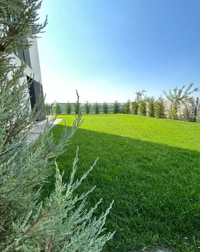 1-03